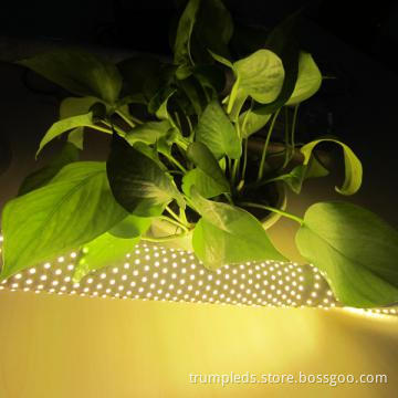 The Hottest!! Two Year Warranty led stripe light indoor